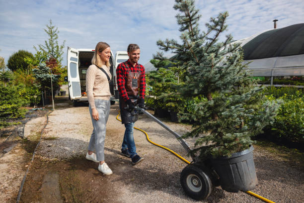 Best Tree Removal Near Me  in USA